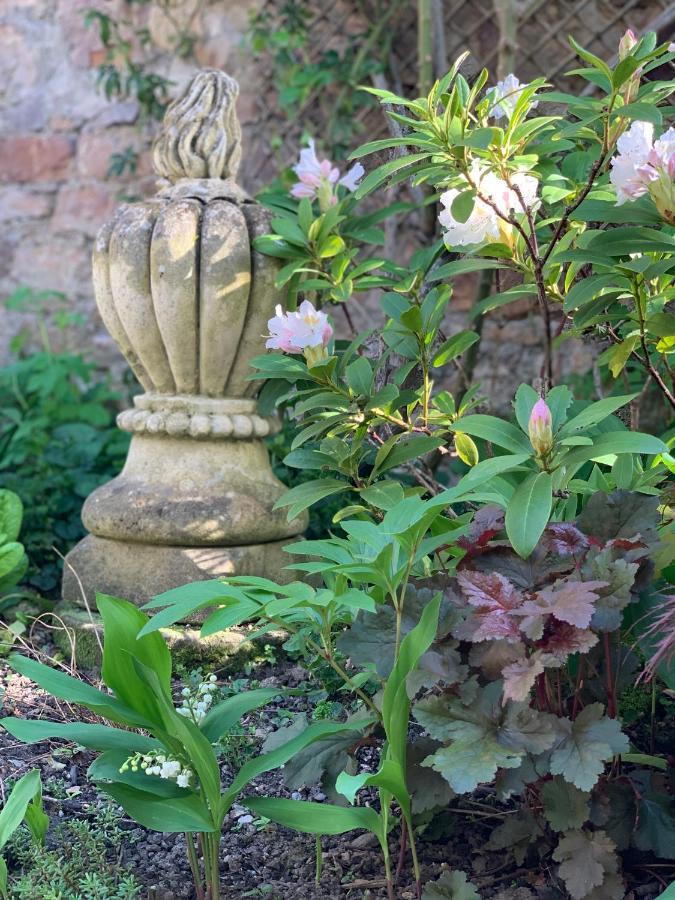 Cote Jardin Bed & Breakfast Sainte-Suzanne  Dış mekan fotoğraf