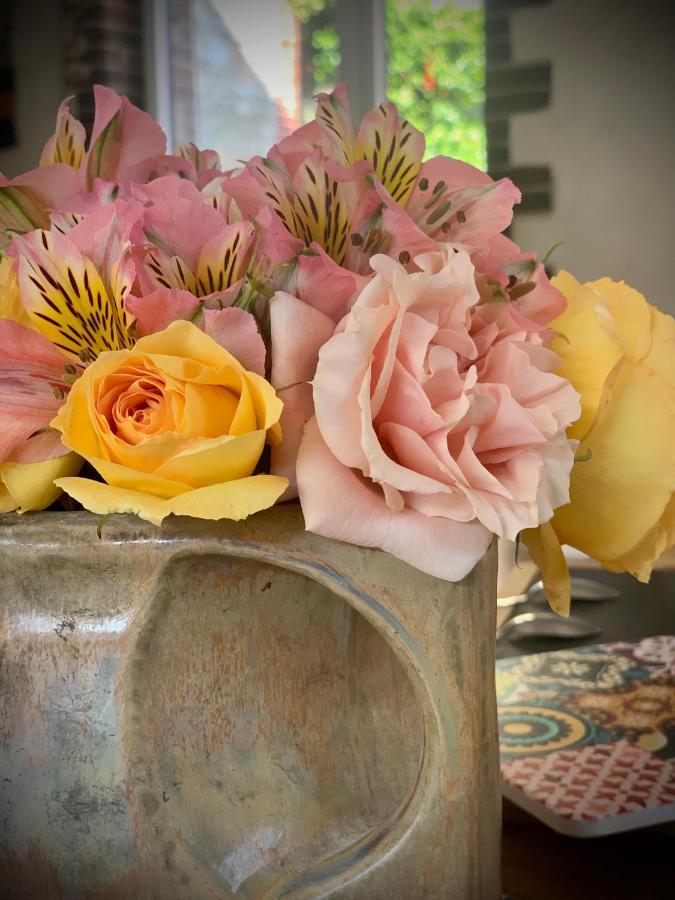 Cote Jardin Bed & Breakfast Sainte-Suzanne  Dış mekan fotoğraf
